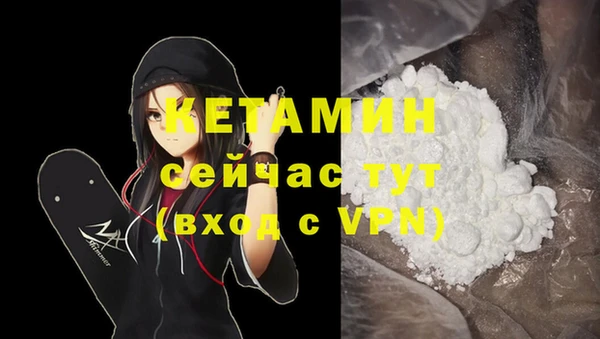 крисы Заводоуковск