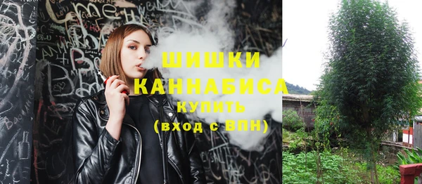 шишки Зеленокумск